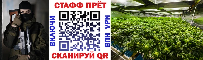 Псилоцибиновые грибы Аша